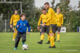 S.K.N.W.K. 1 - Duiveland 1 (comp.) seizoen 2023-2024 (8/117)